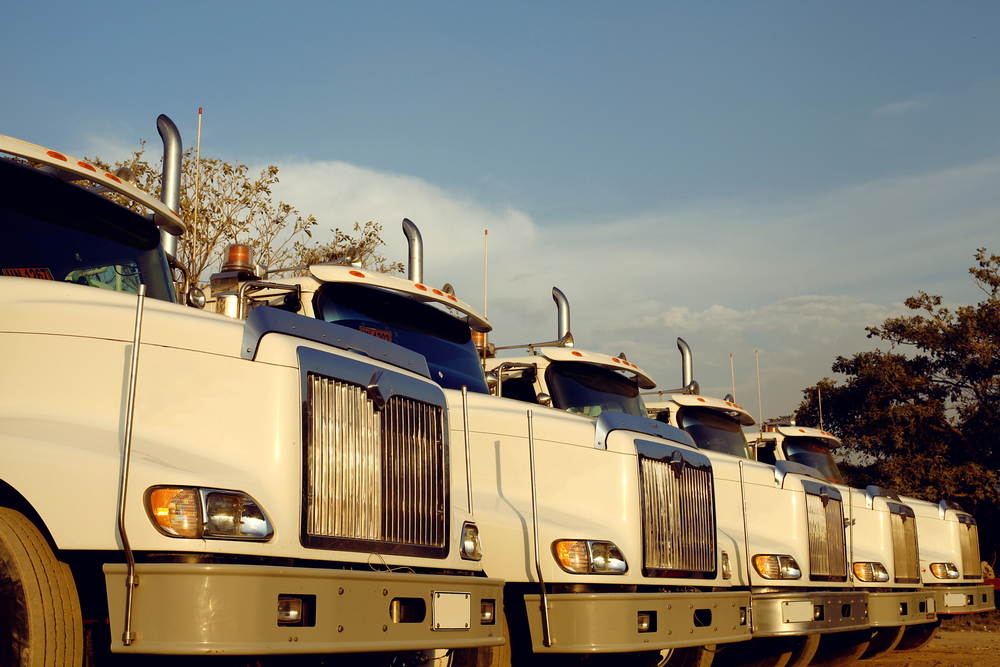 A row of white semi-trucks lined up side-by-side.