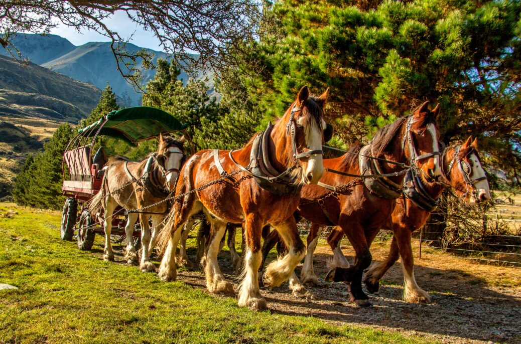 A team of horses drawing a covered carriage.